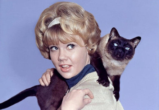 6 Mother’s Day Gifts For Cat Lovers-Pawsome Couture®