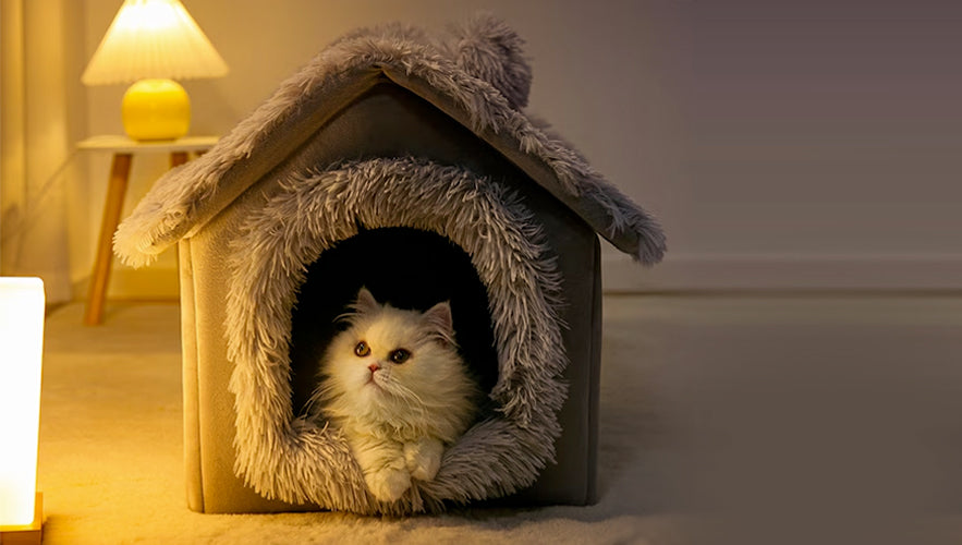 Pet Beds