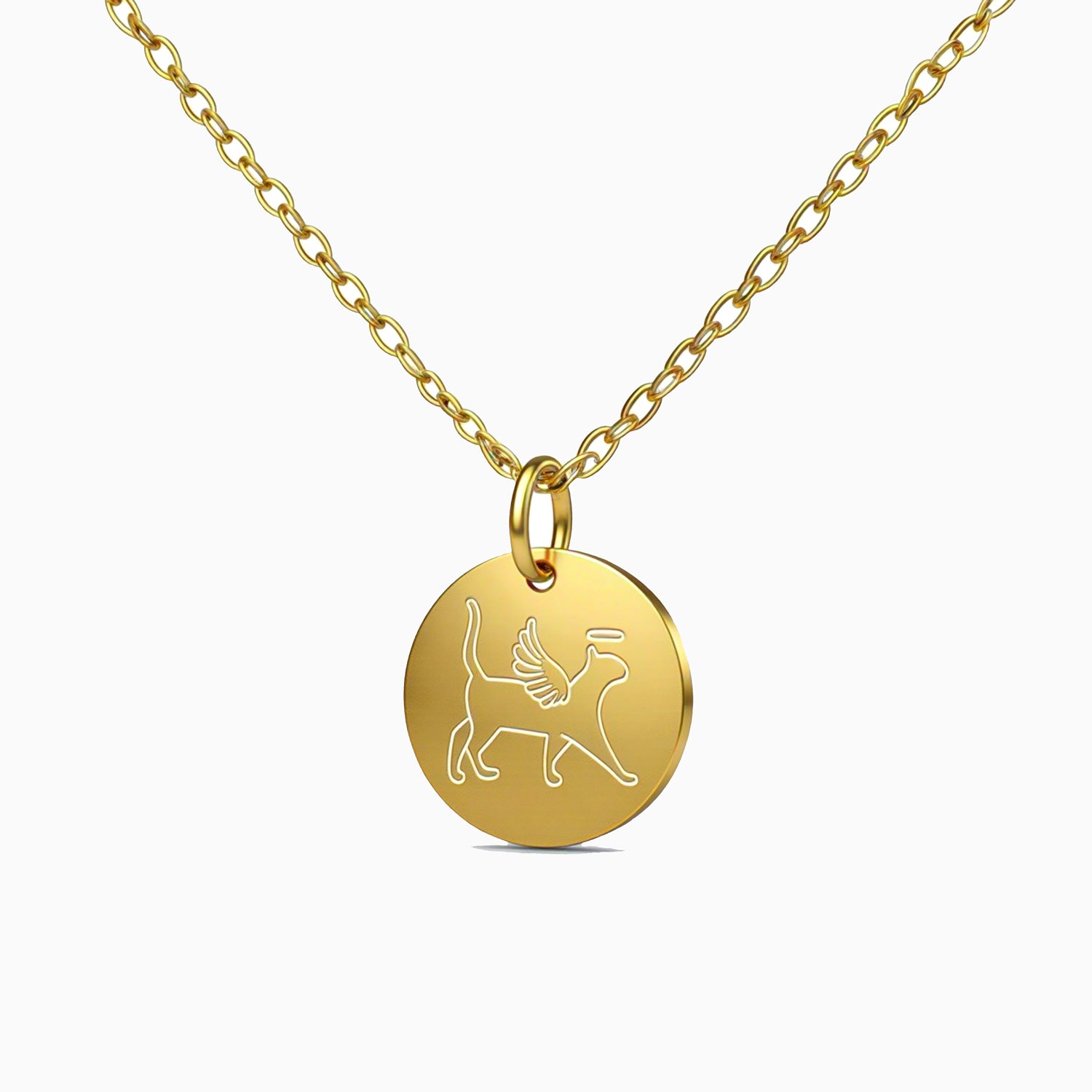Collier disque commémoratif pour chat