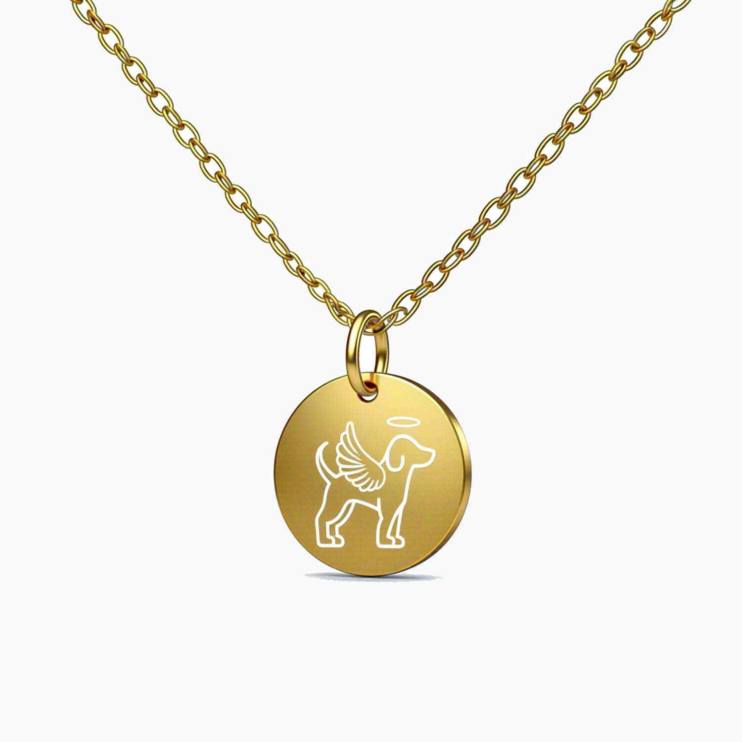 Collier disque commémoratif pour chien