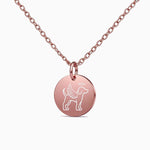 Collier disque commémoratif pour chien
