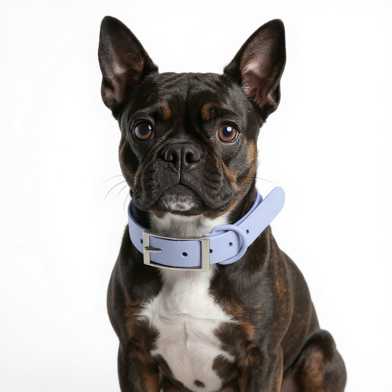 Waterproof Dog Collar