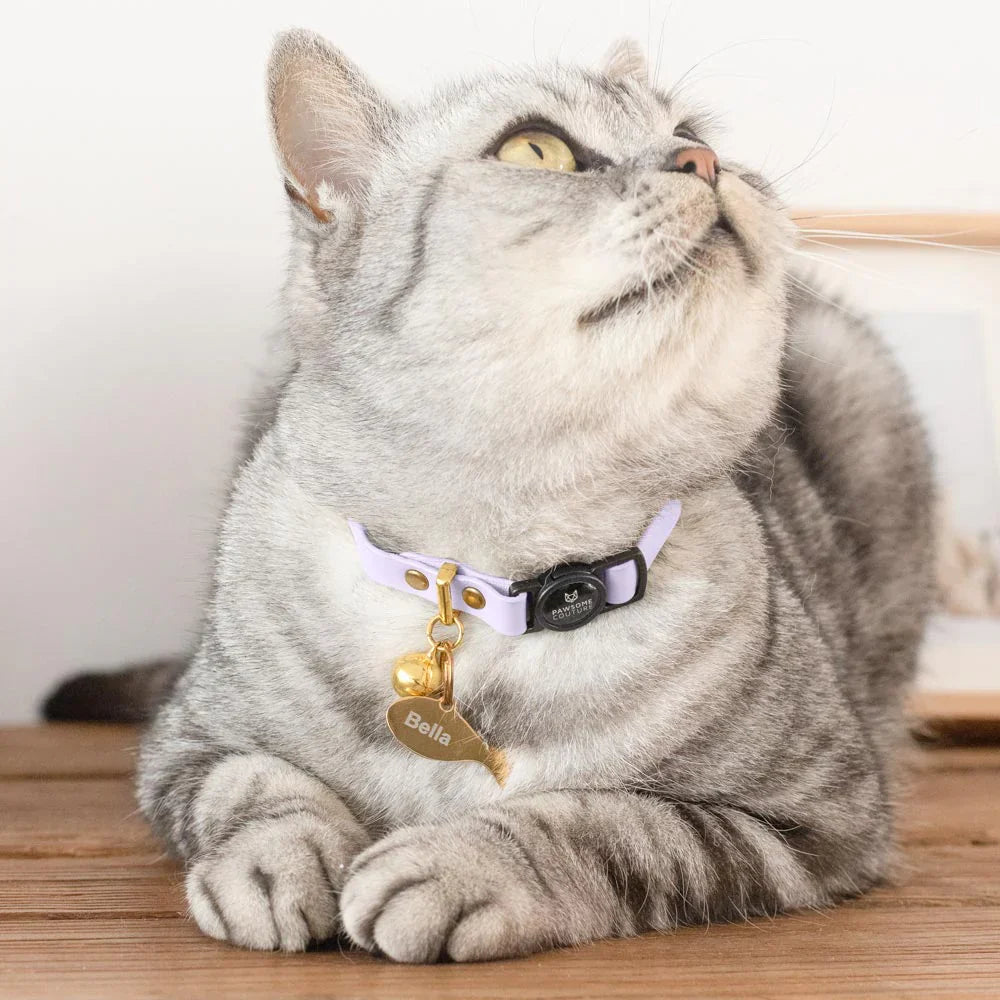 Fisch-Haustier-ID-Tag