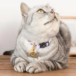 Fisch-Haustier-ID-Tag