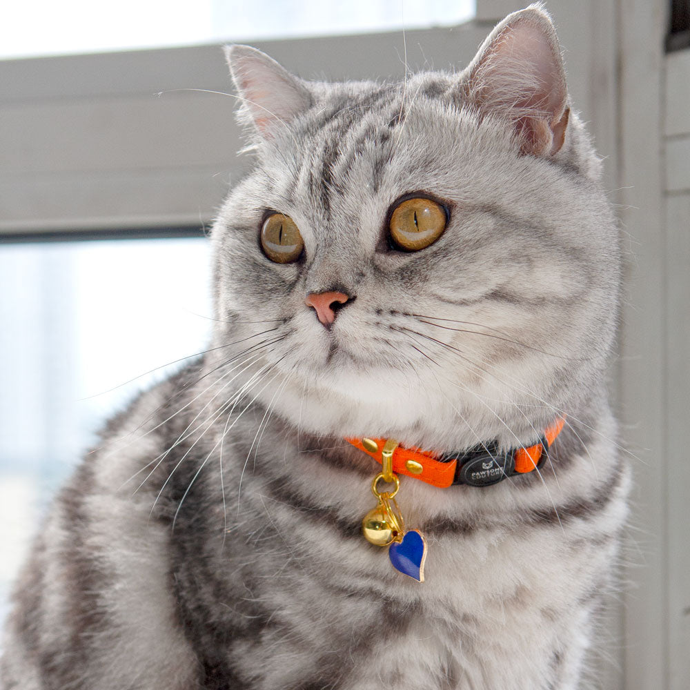 Heart Collar Charm