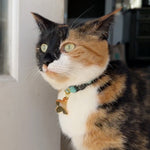 Haustier-ID-Tag mit Blumenmotiv