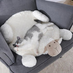 Counting Sheep Pet Mat