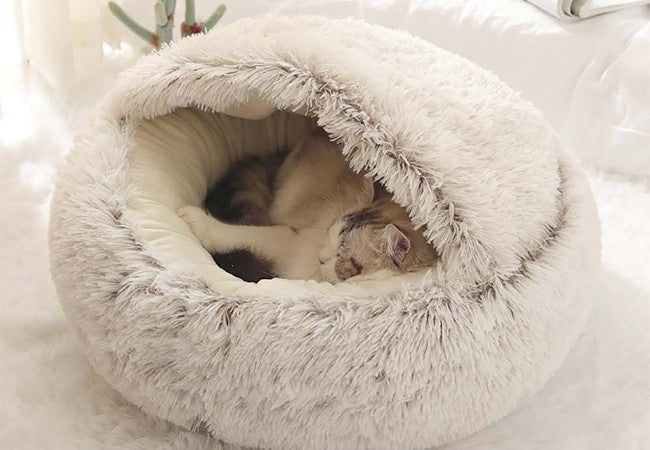 Pawsome Calming Beds to Keep Cat Anxiety at Bay-Pawsome Couture®