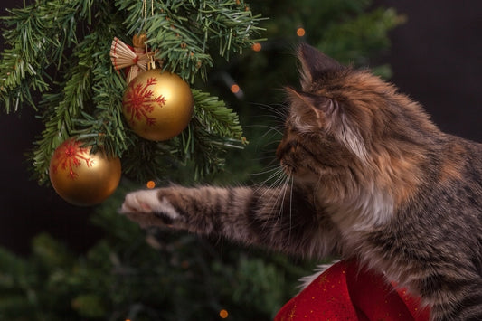 How to Cat-Proof Your Christmas Tree-Pawsome Couture®