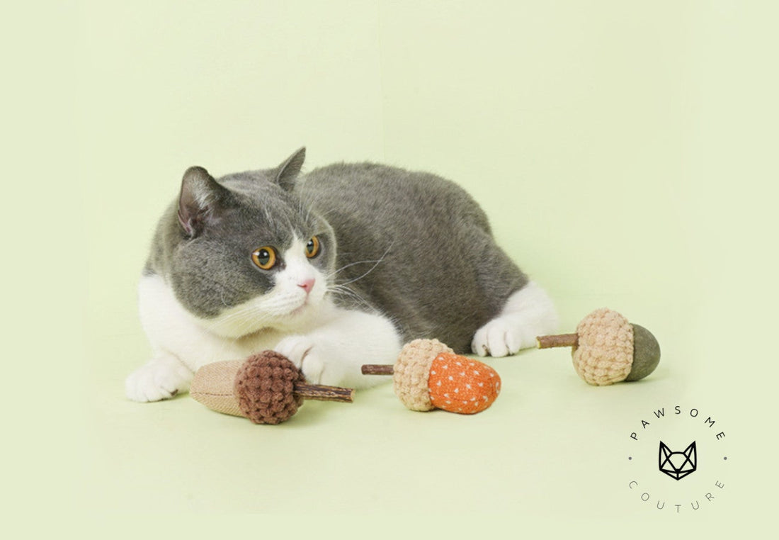 5 Best Selling Cat Toys of 2021 | Pawsome Couture-Pawsome Couture®