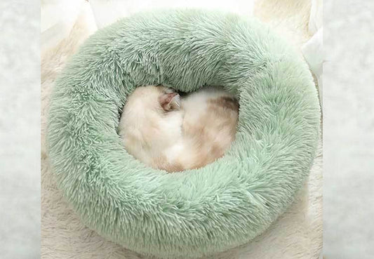 How to Reduce Cat Anxiety with the Calming Cat Bed-Pawsome Couture®
