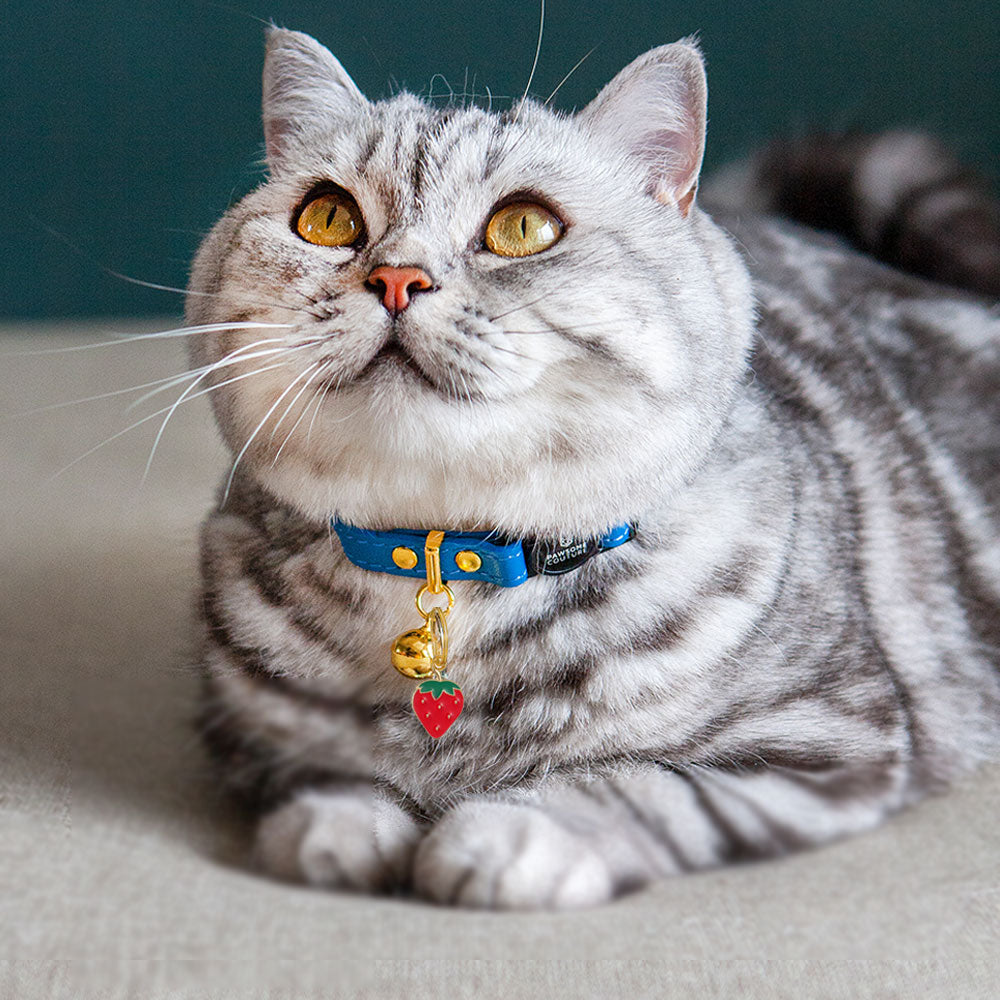 Pet Collar Charms