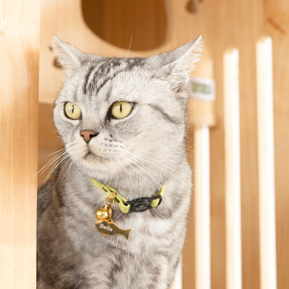 Banana Yellow Leather Cat Collar