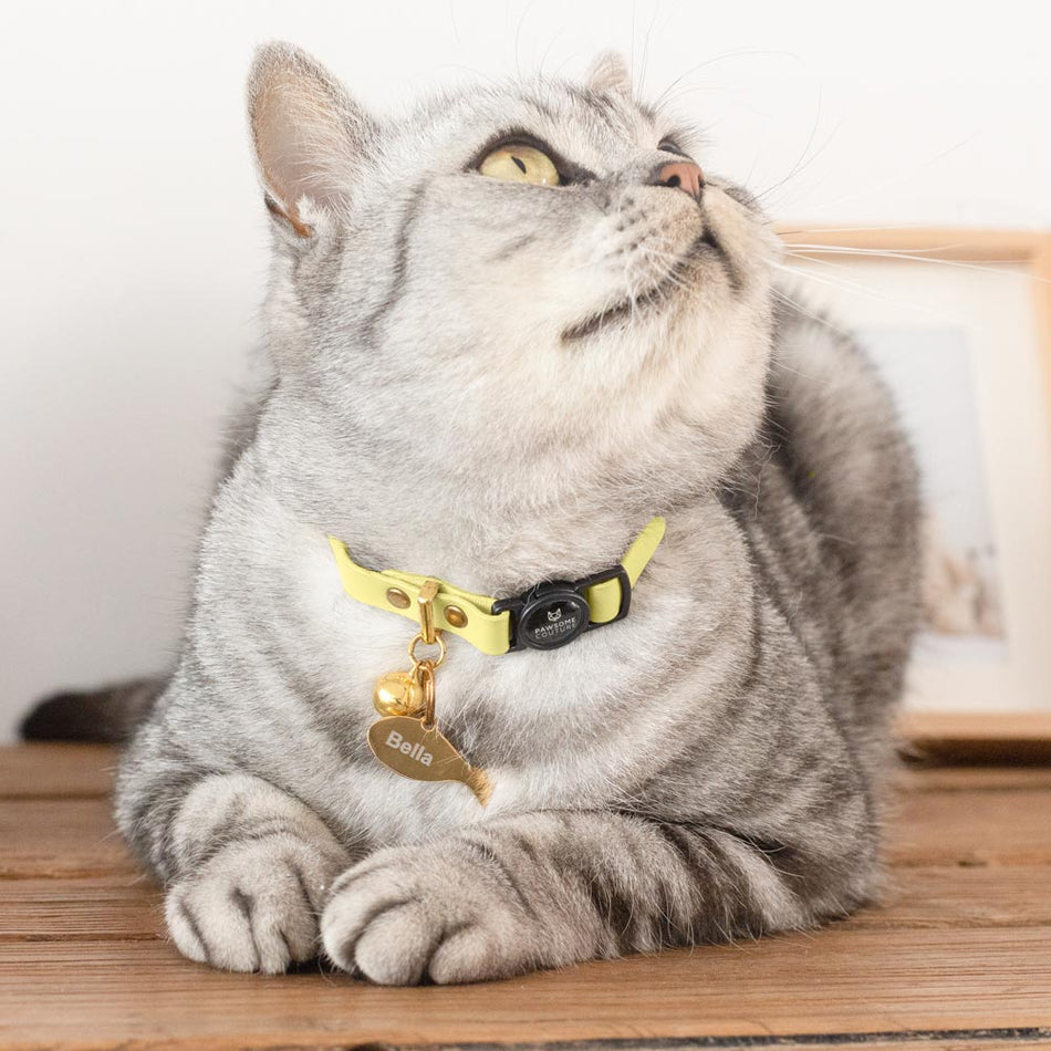 Banana Yellow Leather Cat Collar