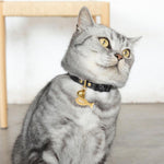 Black Luxury Leather Cat Collar