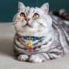 Luxury Leather Cat Collars