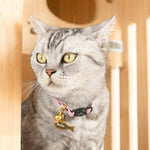 Blush Pink Leather Cat Collar