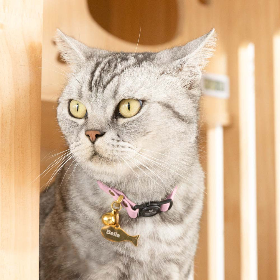 Blush Pink Leather Cat Collar