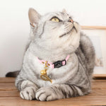 Blush Pink Leather Cat Collar