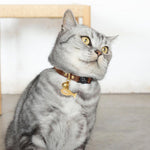 Brown Luxury Leather Cat Collar