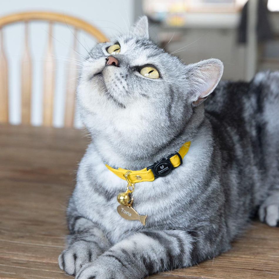 Daisy Yellow Cotton Cat Collar
