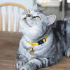 Daisy Yellow Breakaway Cotton Cat Collar by Pawsome Couture - Image 2