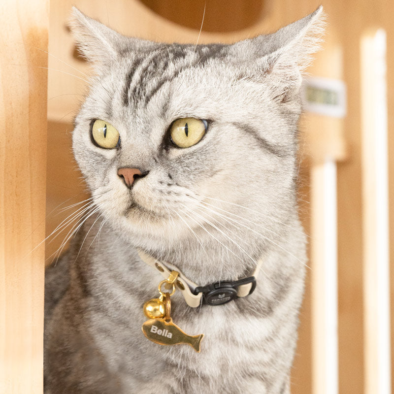 Engraved Cat Tag ID Luxury Cats