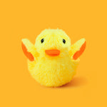 Flappy Duck Toy
