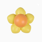Flower Power Rotating Catnip Ball