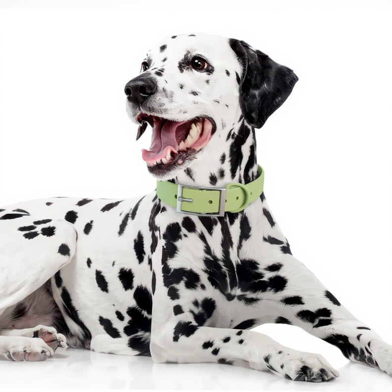 Waterproof Dog Collar