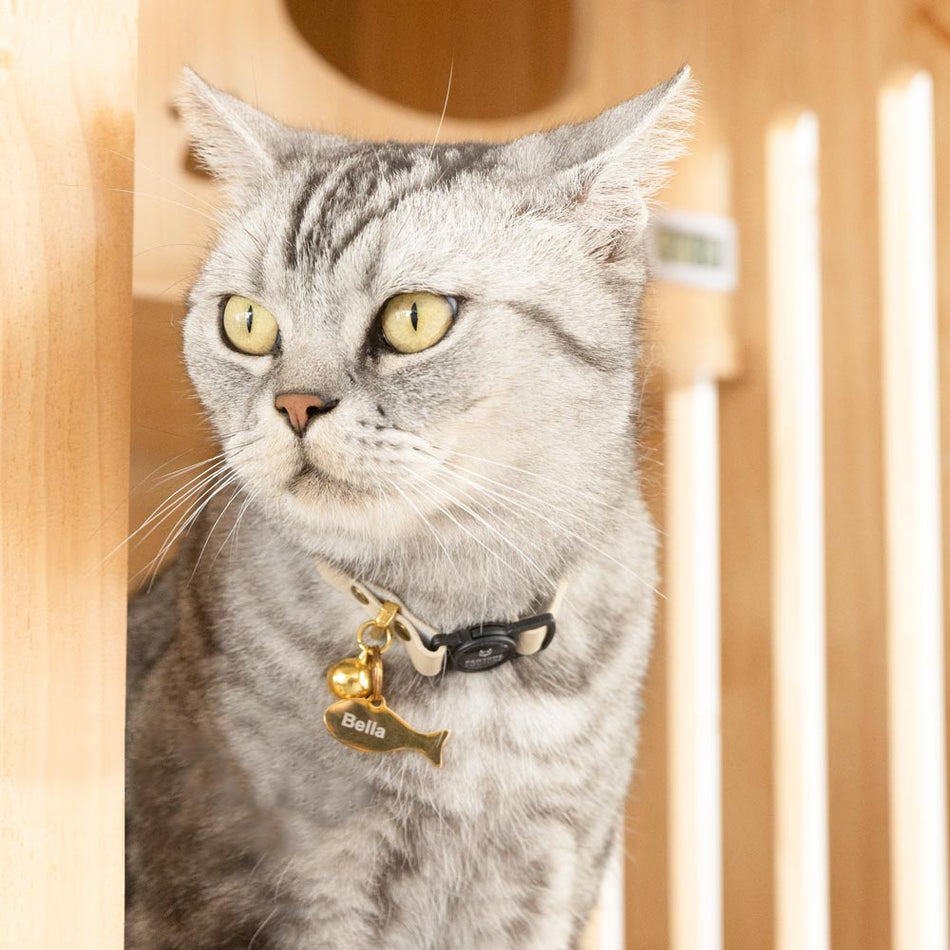 Ivory Leather Cat Collar