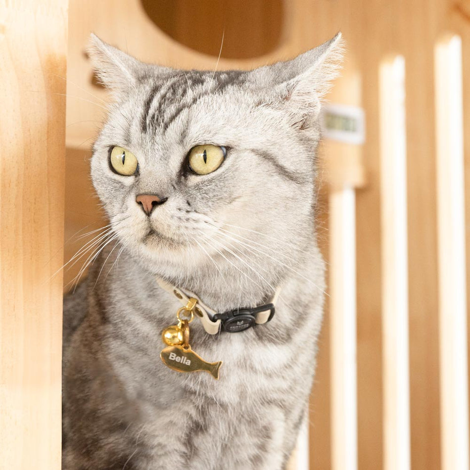 Breakaway Leather Cat Collar Image 2