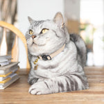 Ivory Luxury Leather Cat Collar Image 3