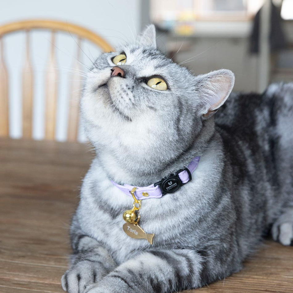 Lavender Breakaway Cotton Cat Collar by Pawsome Couture - Image 2