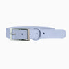 Light Blue Waterproof Dog Collar by Pawsome Couture