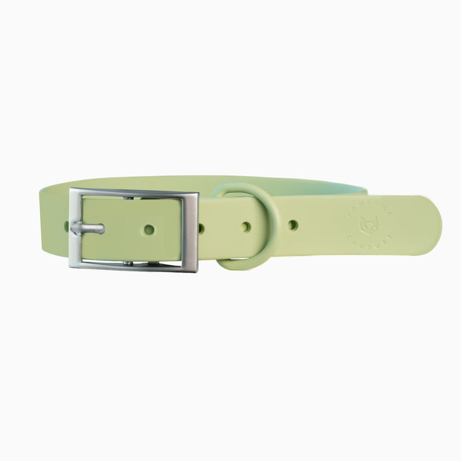 Light Green Waterproof Dog Collar by Pawsome Couture