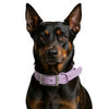 Waterproof Dog Collar