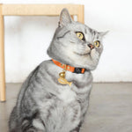 Orange Luxury Leather Cat Collar Image 3