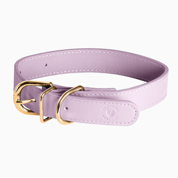 overhead-lilac-leather-dog-