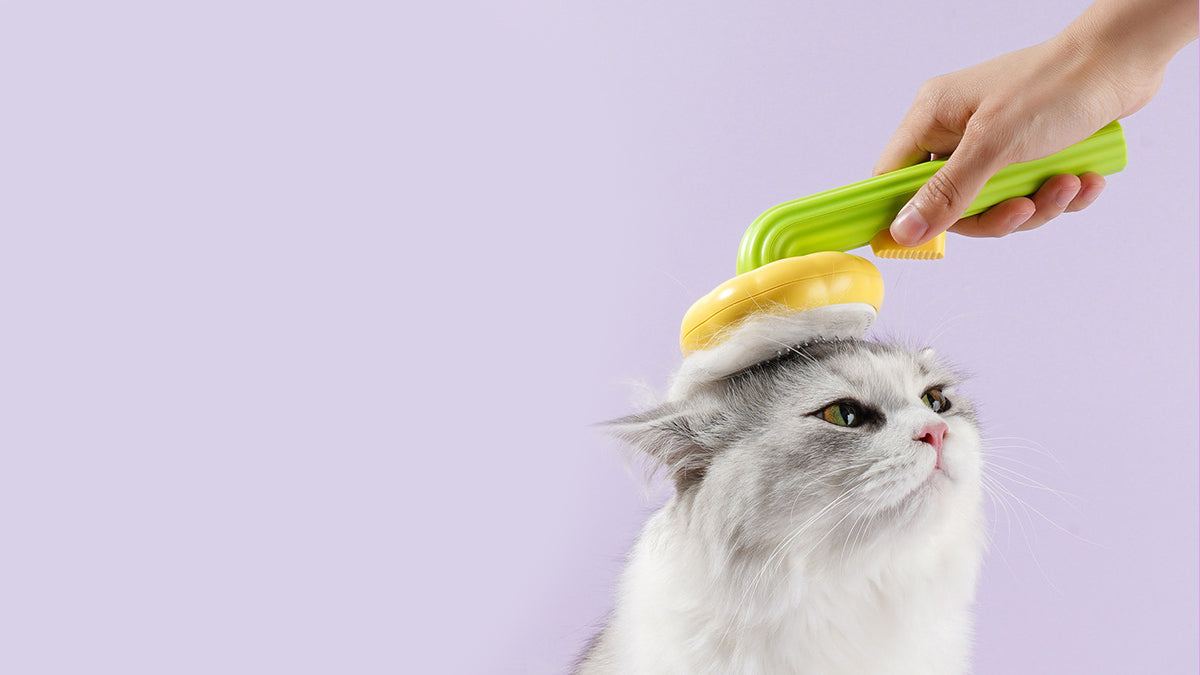 Cat Grooming Brushes