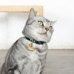 Pine Green Luxury Leather Cat Collar Image 3