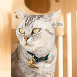 Pine Green Breakaway Leather Cat Collar Image 2