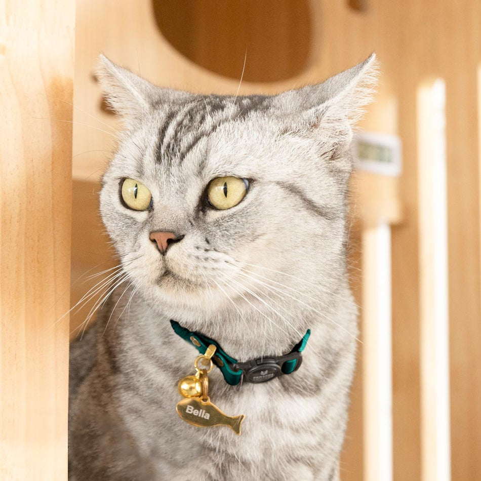 Pine Green Breakaway Leather Cat Collar Image 2