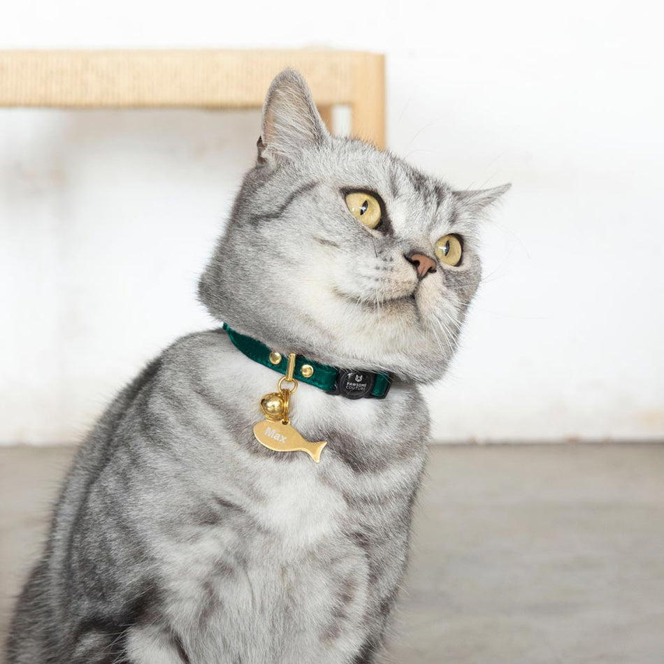 Luxury Leather Cat Collars