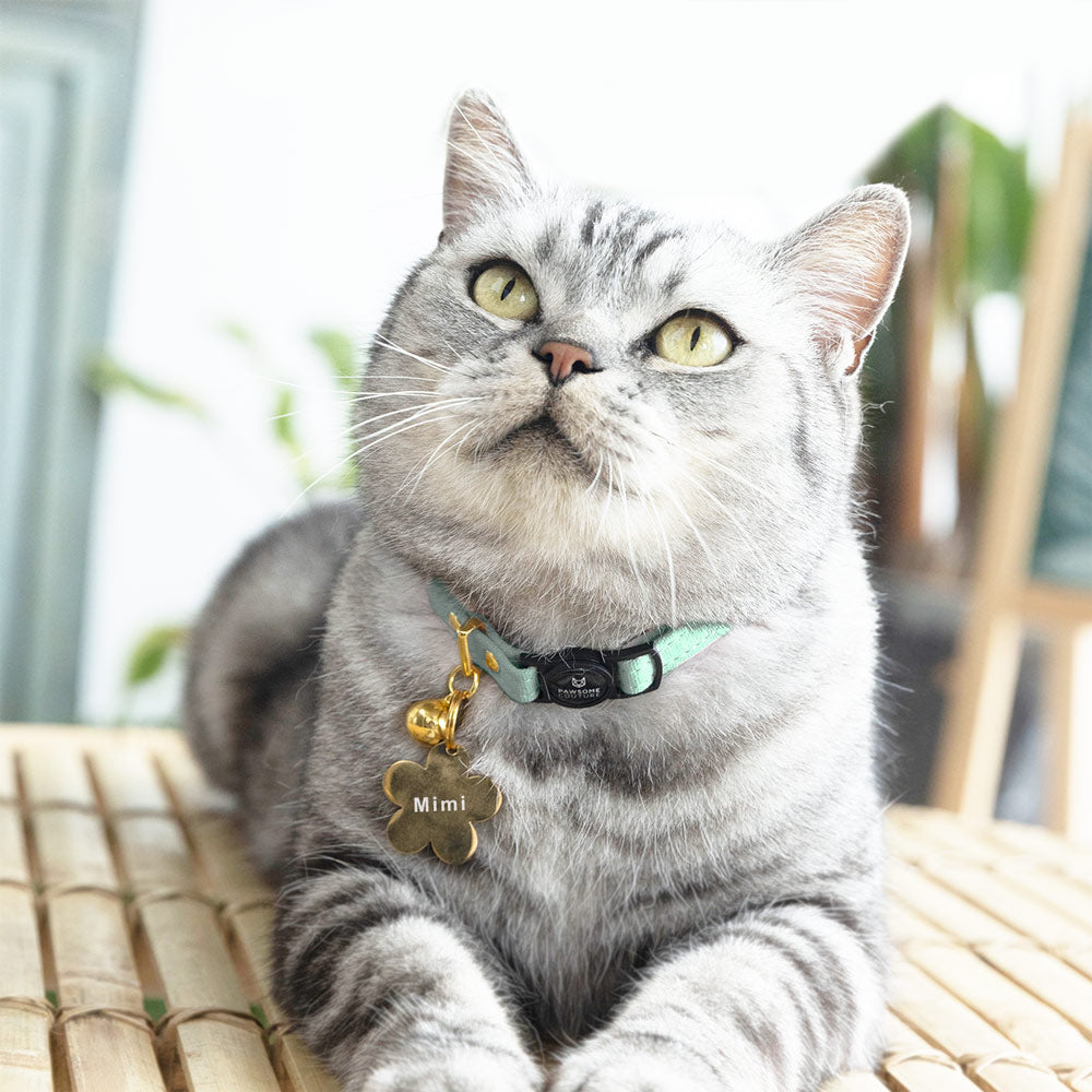Cute Turquoise Cat Collars at Pawsome Couture