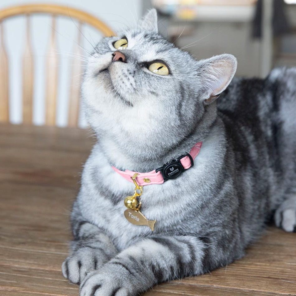 Primrose Pink Cotton Cat Collar