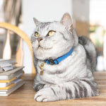 Royal Blue Luxury Leather Cat Collar