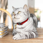 Royal Red Luxury Leather Cat Collar Image 2