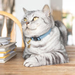 Slate Blue Luxury Leather Cat Collar