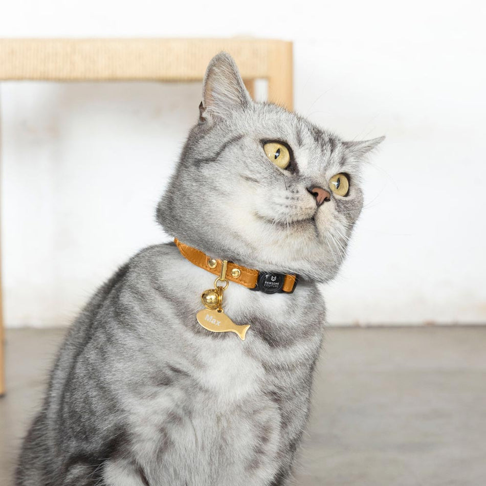 Tan Luxury Leather Cat Collar